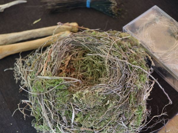 Impressionen vom KreisFamilienTag 2018 